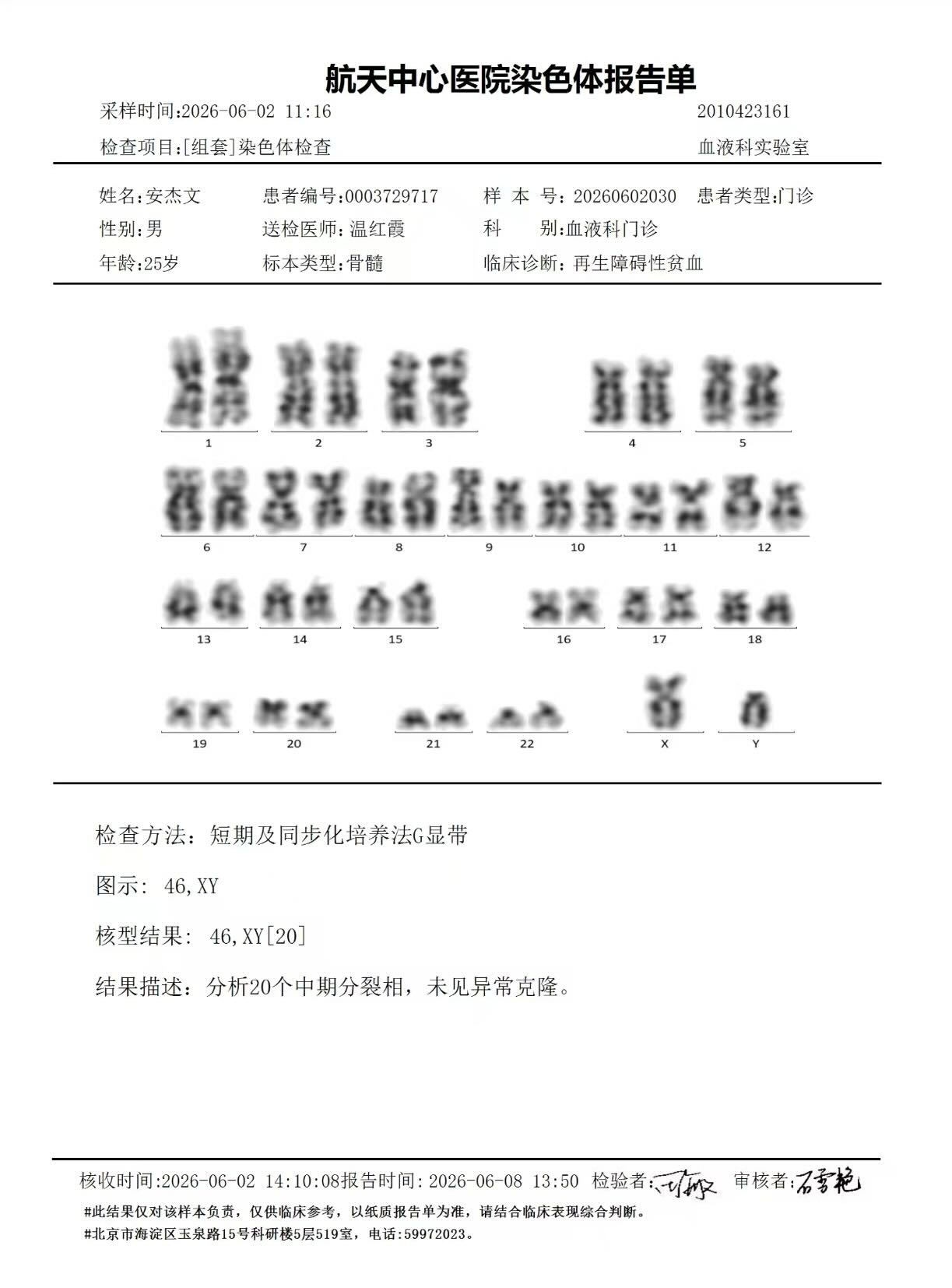 染色体检查202606