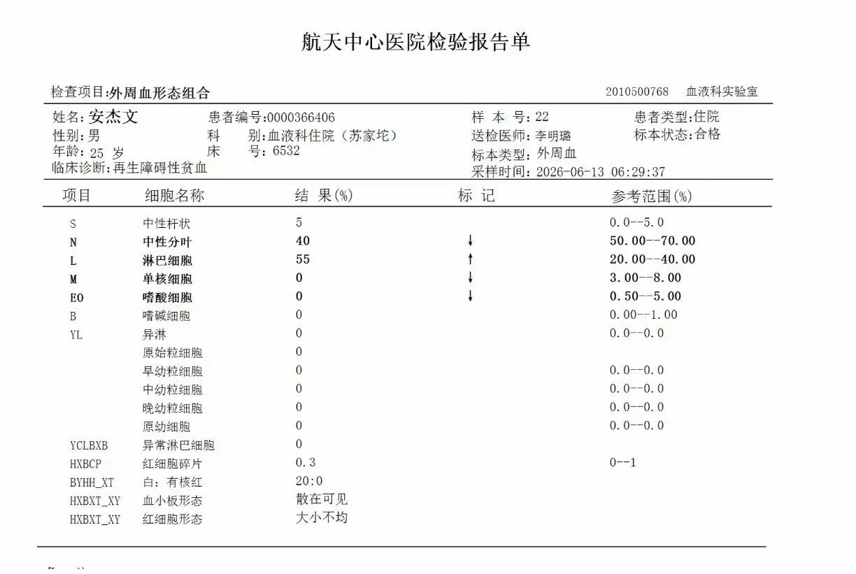 外周血形态组合202606